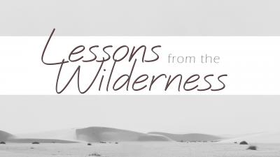 Lessons From the Wilderness Image